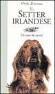Il Setter irlandese. Un cane da caccia - Stefano Vitale Brovarone - Libro Editoriale Olimpia 1997, Caccia | Libraccio.it