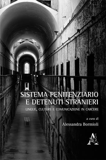 Sistema penitenziario e detenuti stranieri. Lingue, culture e comunicazione in carcere  - Libro Aracne 2017 | Libraccio.it