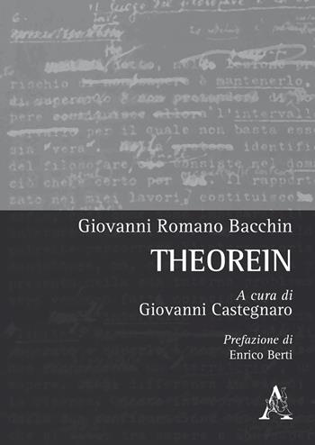 Theorein - Giovanni Romano Bacchin - Libro Aracne 2017 | Libraccio.it