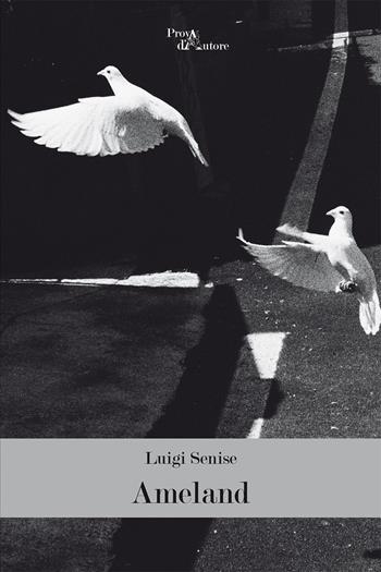 Ameland - Luigi Senise - Libro Aracne 2017, Prova d'autore | Libraccio.it