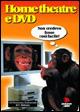 Home theater & DVD - Fosco Bellomo - Libro Jackson Libri 2001, Le scimmie | Libraccio.it