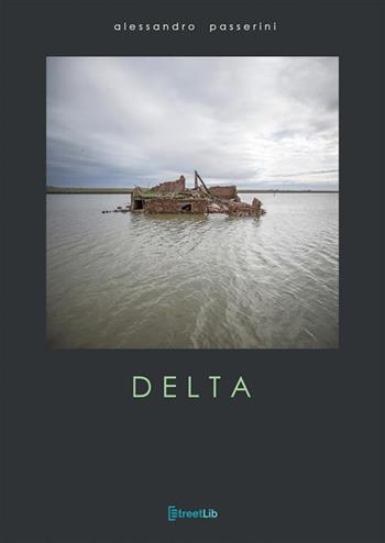 Delta - Alessandro Passerini, Carlo Passerini - Libro StreetLib 2017 | Libraccio.it