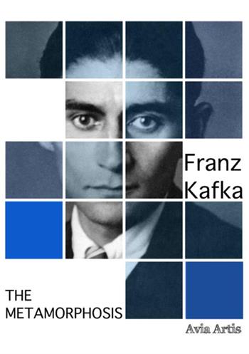 The metamorphosis - Franz Kafka - Libro StreetLib 2017 | Libraccio.it
