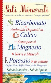 Sali minerali - Ulrike Raiser - Libro Edizioni del Baldo 2017, Miracoli di natura | Libraccio.it