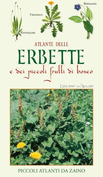 Atlante delle erbette e dei piccoli frutti di bosco - Paola Mancini - Libro Edizioni del Baldo 2024, Piccoli atlanti da zaino | Libraccio.it