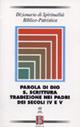 Dizionario di spiritualità biblico-patristica. Vol. 48: Parola di Dio. S. Scrittura. Tradizione nei Padri dei secoli IV e V.  - Libro Borla 2008, Dizionario spiritual. biblico-patristica | Libraccio.it