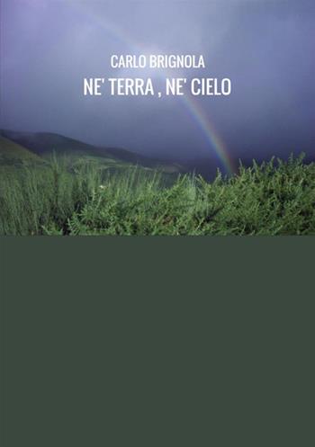 Né terra né cielo - Carlo Brignola - Libro StreetLib 2017 | Libraccio.it