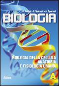 Biologia. Vol. 1: Biologia della cellula-Anatomia e fisiologia umana. - Aldo Zullini, Francesca Sparvoli, Antonella Sparvoli - Libro Atlas 2007 | Libraccio.it