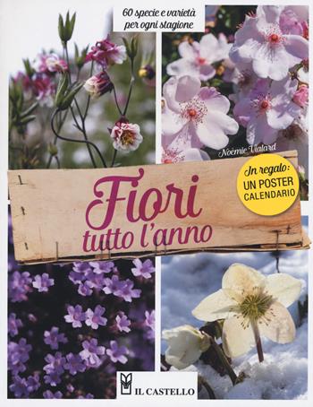 Fiori tutto l'anno. 60 specie e varietà per ogni stagione - Noémie Vialard - Libro Il Castello 2019, Giardinaggio | Libraccio.it