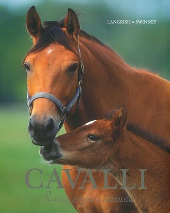 Cavalli. Razze, origini e curiosità - Nicola Jane Swinney - Libro Il Castello 2019, Animali | Libraccio.it