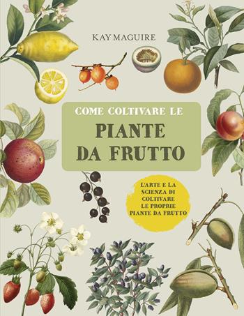 Come coltivare le piante da frutto - Kay Maguire - Libro Il Castello 2020, Giardinaggio | Libraccio.it