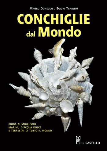 Conchiglie dal mondo. Guida ai molluschi marini, d'acqua dolce e terrestri di tutto il mondo. Ediz. illustrata - Mauro Doneddu, Egidio Trainito - Libro Il Castello 2020, Natura | Libraccio.it