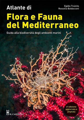 Atlante di flora e fauna del Mediterraneo. Guida alla biodiversità degli ambienti marini. Ediz. illustrata - Egidio Trainito, Rossella Baldacconi - Libro Il Castello 2021, Natura | Libraccio.it