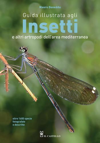 Guida illustrata agli insetti e altri artropodi dell'area mediterranea. Ediz. a colori - Mauro Doneddu - Libro Il Castello 2021, Animali | Libraccio.it