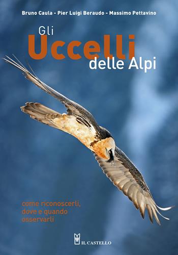 Gli uccelli delle Alpi. Come riconoscerli, dove e quando osservarli. Ediz. a colori - Bruno Caula, Pier Luigi Beraudo, Massimo Pettavino - Libro Il Castello 2022, Natura | Libraccio.it