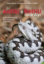 Gli anfibi e rettili delle Alpi. Come riconoscerli, dove e quando osservarli. Ediz. illustrata