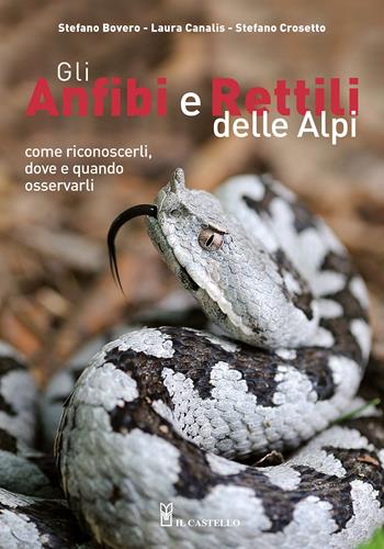 Gli anfibi e rettili delle Alpi. Come riconoscerli, dove e quando osservarli. Ediz. a colori - Stefano Bovero, Laura Canalis, Stefano Crosetto - Libro Il Castello 2022, Natura | Libraccio.it