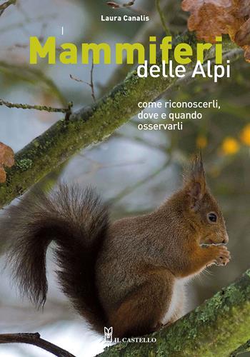 I mammiferi delle Alpi. Come riconoscerli, dove e quando osservarli - Laura Canalis - Libro Il Castello 2022, Natura | Libraccio.it
