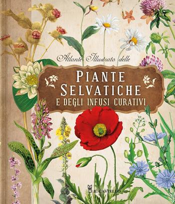 Atlante illustrato delle piante selvatiche e degli infusi curativi  - Libro Il Castello 2024, Giardinaggio | Libraccio.it