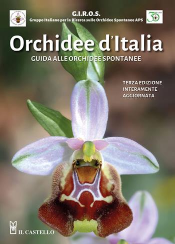 Orchidee d'Italia. Guida alle orchidee spontanee  - Libro Il Castello 2024, Giardinaggio | Libraccio.it