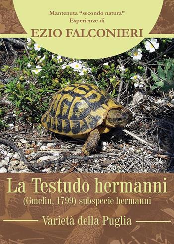 La Testudo hermanni. Varietà di Puglia - Ezio Falconieri - Libro Youcanprint 2018 | Libraccio.it