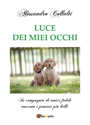 Luce dei miei occhi - Alessandro Collalti - Libro Youcanprint 2018 | Libraccio.it