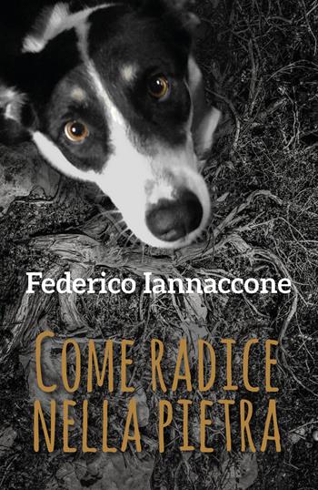 Come radice nella pietra - Federico Iannaccone - Libro Youcanprint 2018 | Libraccio.it