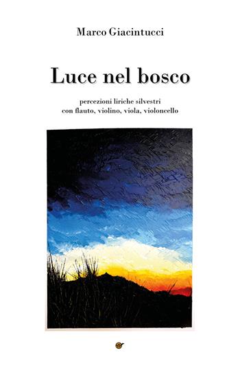 Luce nel bosco - Marco Giacintucci - Libro Youcanprint 2018 | Libraccio.it