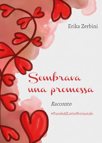 Sembrava una promessa - Erika Zerbini - Libro Youcanprint 2018 | Libraccio.it