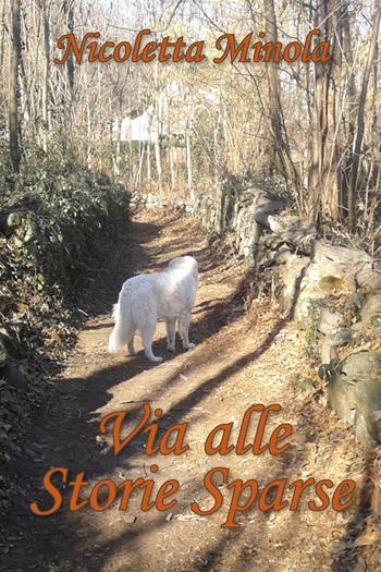 Via alle storie sparse - Nicoletta Minola - Libro Youcanprint 2018 | Libraccio.it