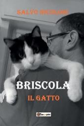 Briscola il gatto