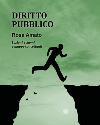 Diritto pubblico - Rosa Amato - Libro Youcanprint 2018 | Libraccio.it