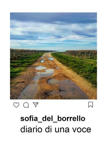Diario di una voce - Sofia Del Borrello - Libro Youcanprint 2019 | Libraccio.it