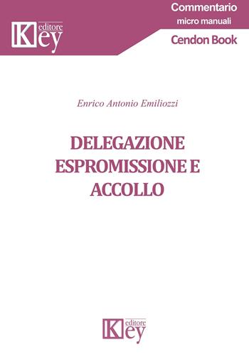 Delegazione espromissione e accollo - Enrico Antonio Emiliozzi - Libro Key Editore 2019, Commentario. Micromanuali | Libraccio.it