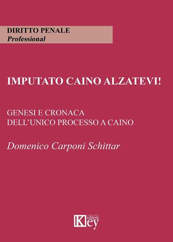 Imputato Caino alzatevi! Genesi e cronaca dell'unico processo a Caino - Domenico Carponi Schittar - Libro Key Editore 2020, Diritto penale professional | Libraccio.it