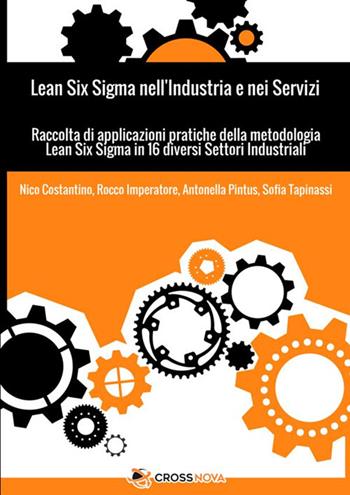 Lean Six Sigma nell'industria e nei servizi. Raccolta di applicazioni pratiche della metodologia Lean Six Sigma in 16 diversi settori industriali - Nico Costantino, Rocco Imperatore, Antonella Pintus - Libro StreetLib 2018 | Libraccio.it