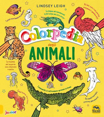 Colorpedia degli animali - Lindsey Leigh - Libro Macro Junior 2019 | Libraccio.it