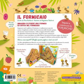 Il formicaio. Ediz. a colori - Petra Bartikovà, Magdalena Takácová - Libro Macro Junior 2019 | Libraccio.it