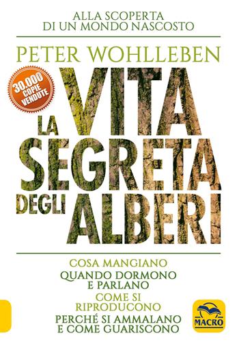 La vita segreta degli alberi. Cosa mangiano. Quando dormono e parlano. Come si riproducono. Perché si ammalano e come guariscono - Peter Wohlleben - Libro Gruppo Editoriale Macro 2021, Nuova saggezza | Libraccio.it