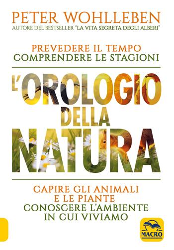 L'orologio della natura. Prevedere il tempo comprendere le stagioni capire gli animali e le piante conoscere l'ambiente in cui viviamo - Peter Wohlleben - Libro Gruppo Editoriale Macro 2021, Nuova saggezza | Libraccio.it