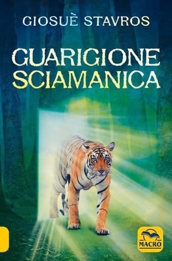 Guarigione sciamanica. Con Contenuto digitale (fornito elettronicamente) - Giosuè Stavros - Libro Macro Edizioni 2023 | Libraccio.it