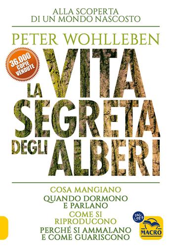 La vita segreta degli alberi. Cosa mangiano. Quando dormono e parlano. Come si riproducono. Perché si ammalano e come guariscono - Peter Wohlleben - Libro Macro Edizioni 2026, Nuova saggezza | Libraccio.it