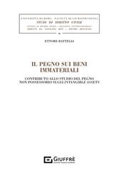 Il pegno sui beni immateriali. Contributo allo studio del pegno non possessorio sugli intangible assets