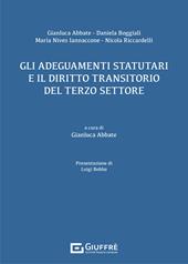 Gli adeguamenti statutari e il diritto transitorio del terzo settore