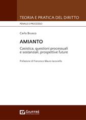 Amainto. Casistica, questioni processuali e sostanziali, prospettive future