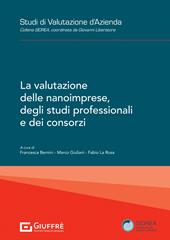 La valutazione delle nanoimprese, degli studi professionali e dei consorzi