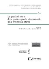 Le questioni aperte della giustizia penale internazionale nella prospettiva interna