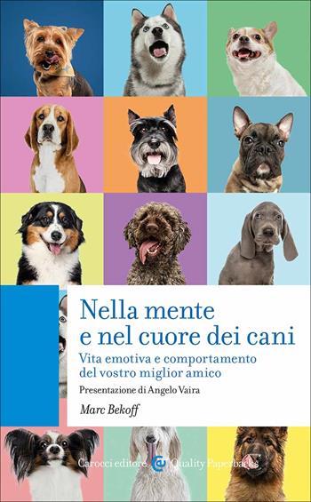 Nella mente e nel cuore dei cani. Vita emotiva e comportamento del vostro miglior amico - Marc Bekoff - Libro Carocci 2023, Quality paperbacks | Libraccio.it