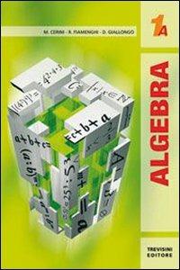Algebra 1. Tomo A. Per le Scuole superiori. Vol. 1 - Maria Angela Cerini, Raul Fiamenghi, Donatella Giallongo - Libro Trevisini 2009 | Libraccio.it