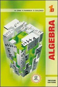 Algebra 1. Tomo B. Vol. 1 - Maria Angela Cerini, Raul Fiamenghi, Donatella Giallongo - Libro Trevisini 2009 | Libraccio.it